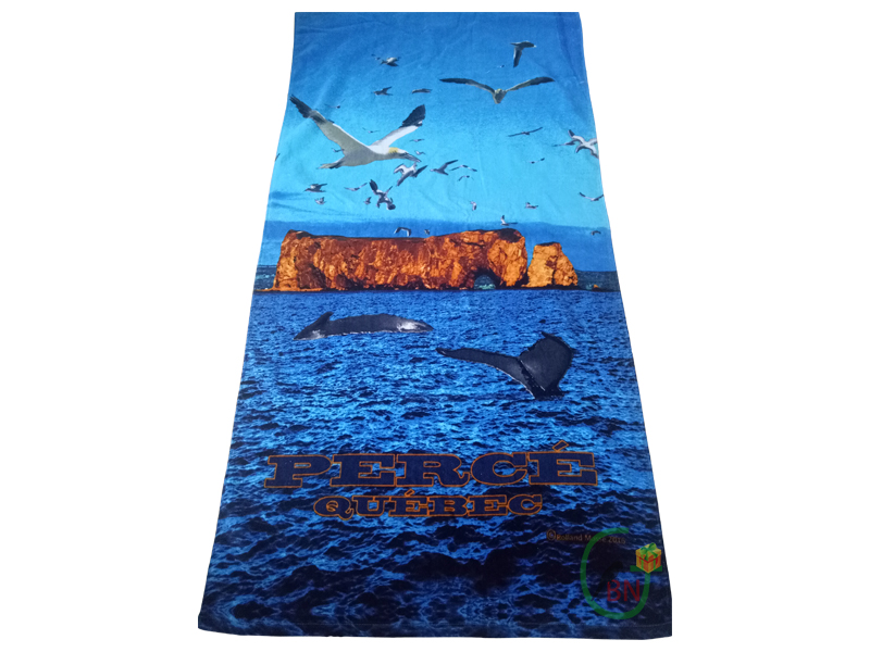Beach Towel
