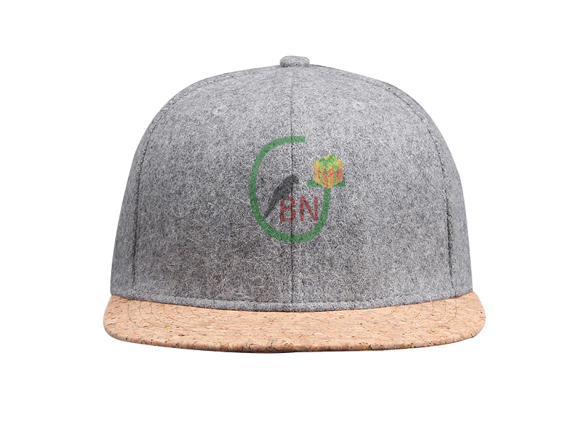 Woolen Hip-Hop Cap