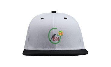 Multi-Color Hit-Hop Caps