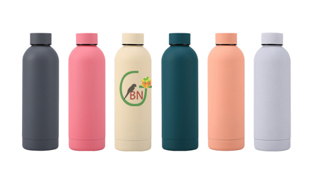 Insulated Water Bottle