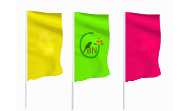 Eevent Flag